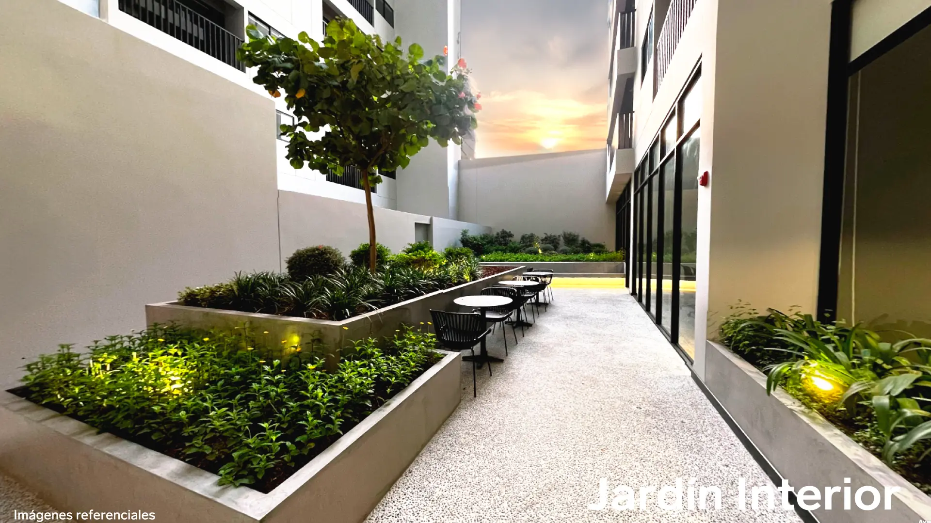 Nomad Ricardo Palma - Jardin Interior